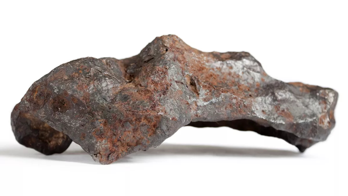 Grey meteorite with mottled red coloring looks a bit like a bicycle saddle.