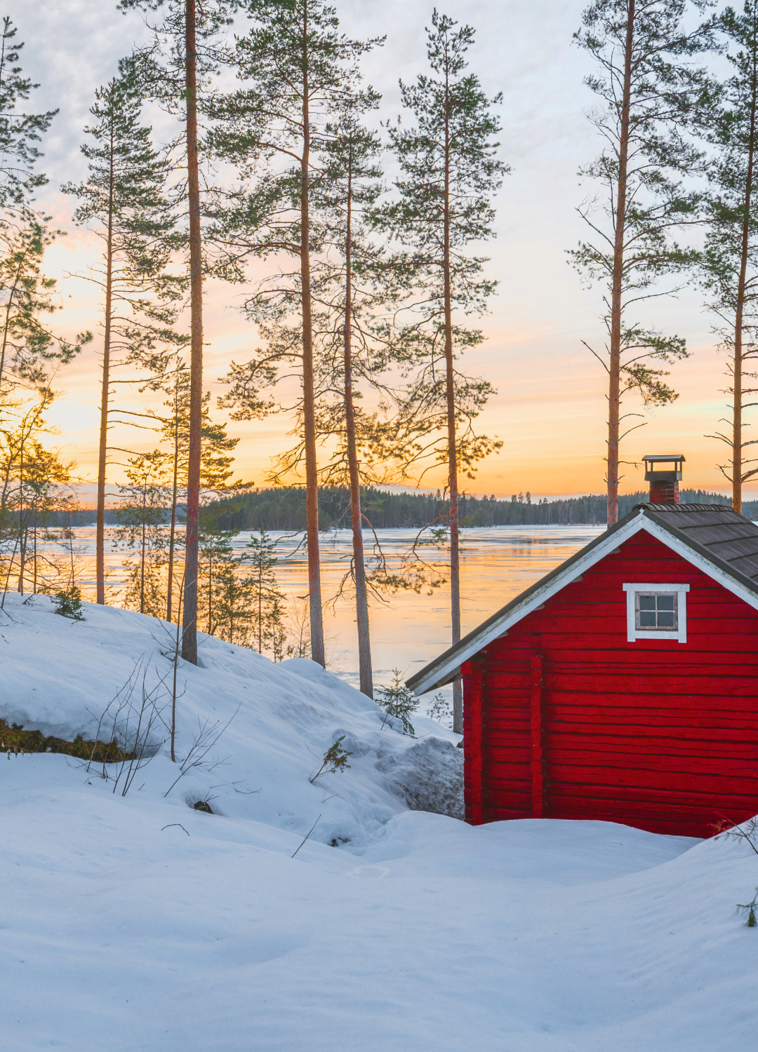 Finnish winter