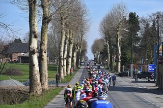 The long line of riders at Kuurne-Brussel-Kuurne