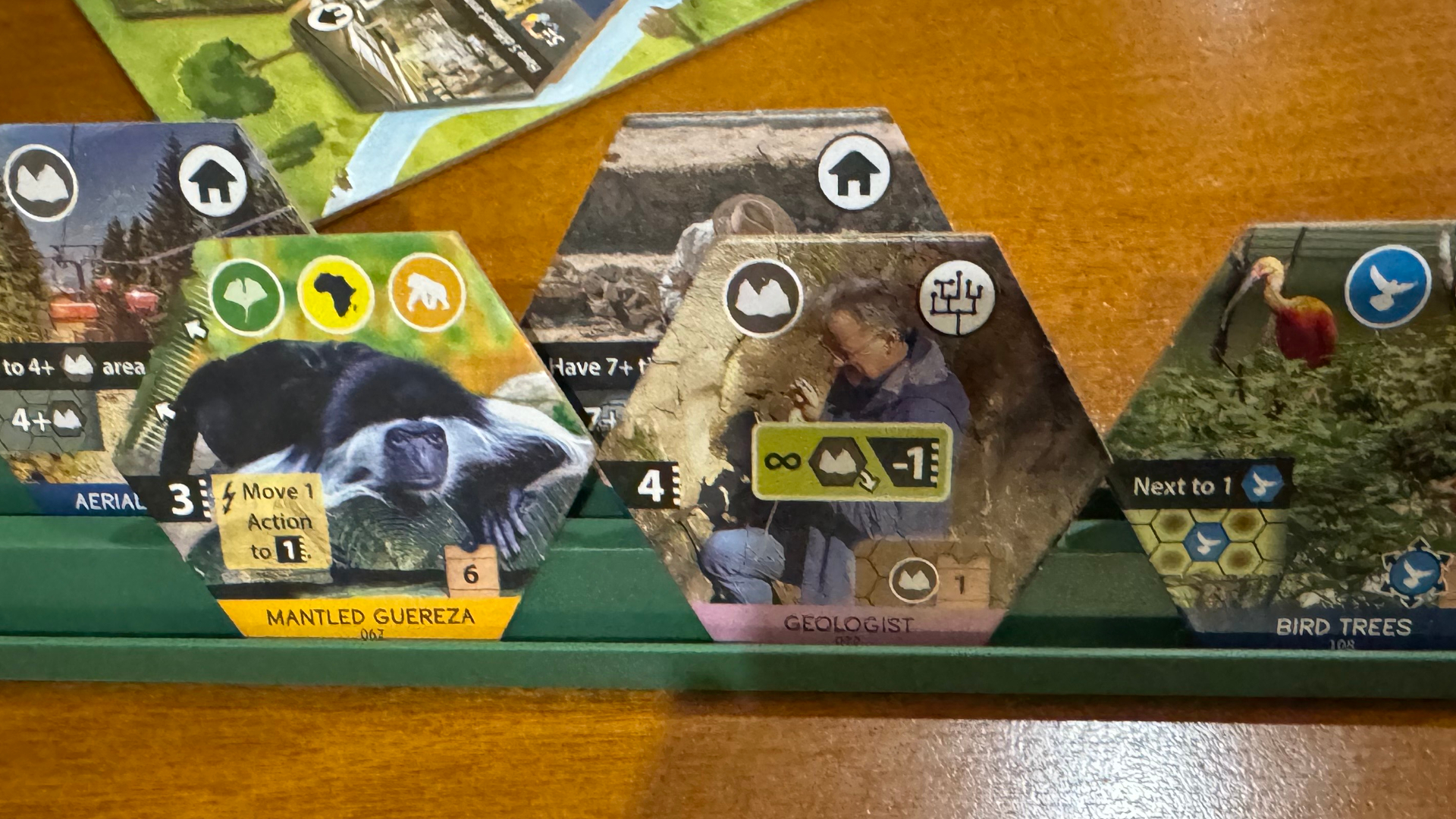 Sanctuary tiles on a green display, all laid out on a wooden table