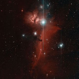 The Horsehead nebula can be seen in this portion of the "first-light" image from ZTF. The head of the horse (middle) faces up toward another well-know nebula known as the Flame. Violet to green optical wavelengths detected by ZTF are represented as cyan, 