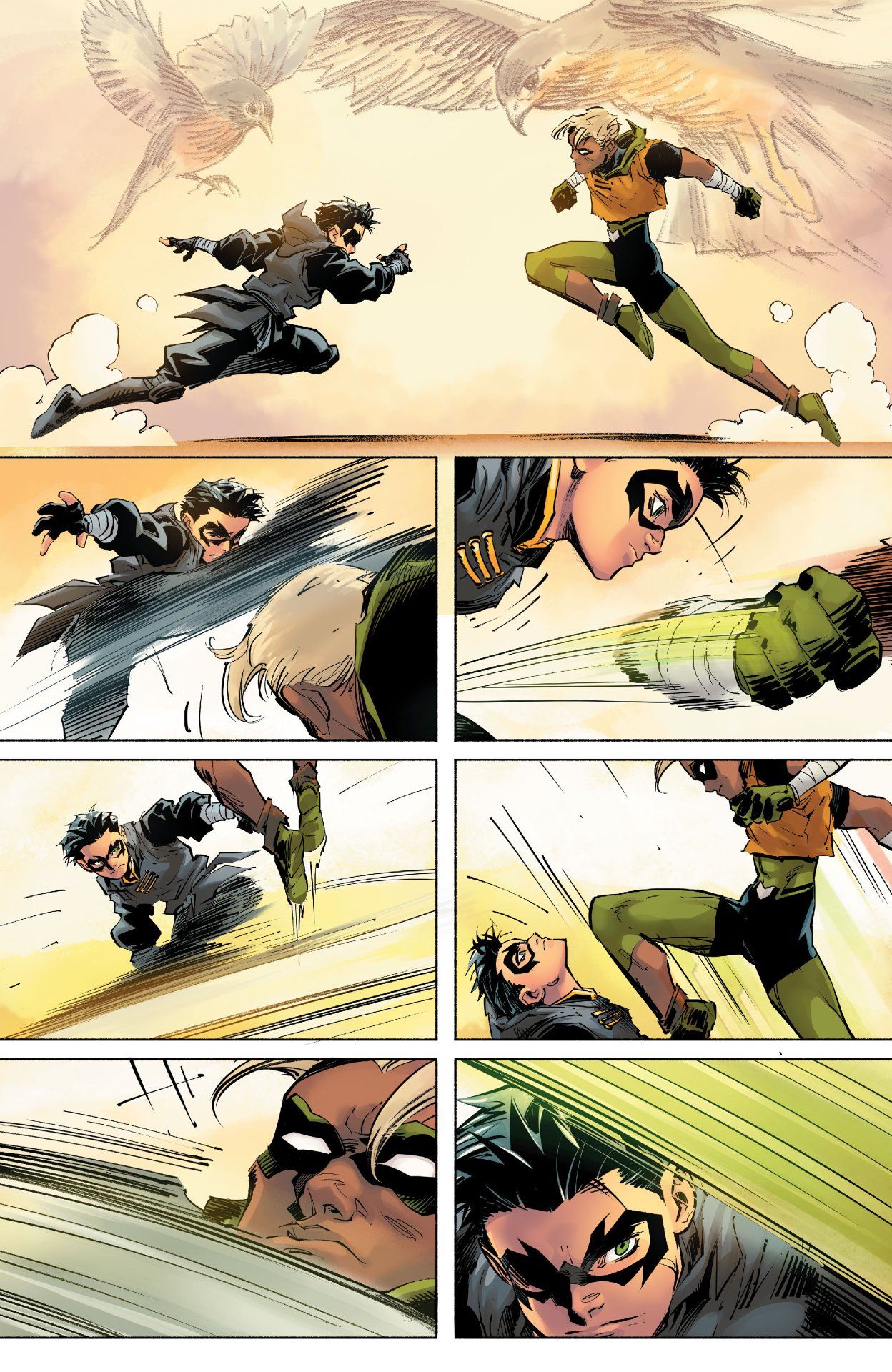 Robin #8