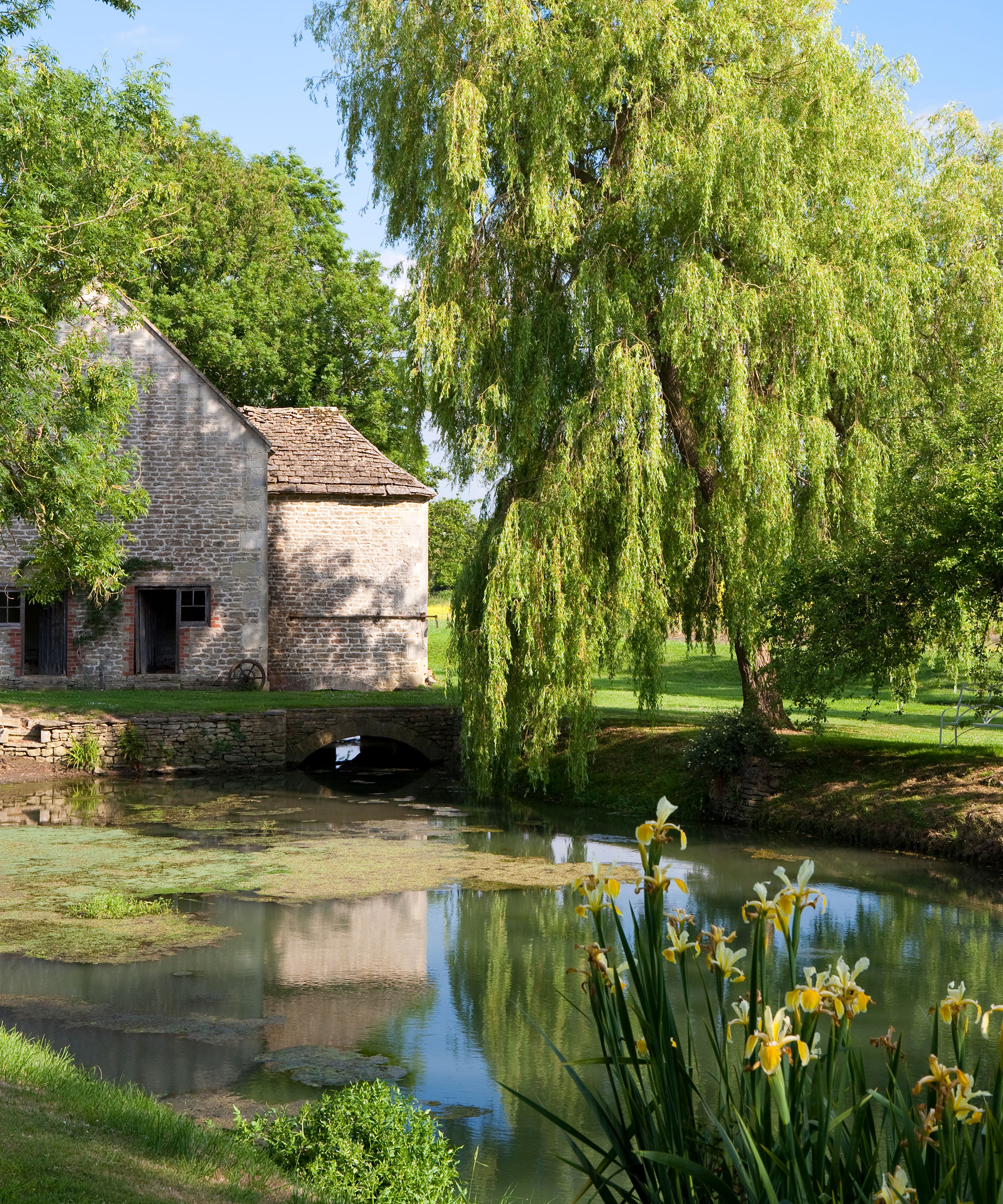 A lake surrounded by plants and trees next to a traditional brick house