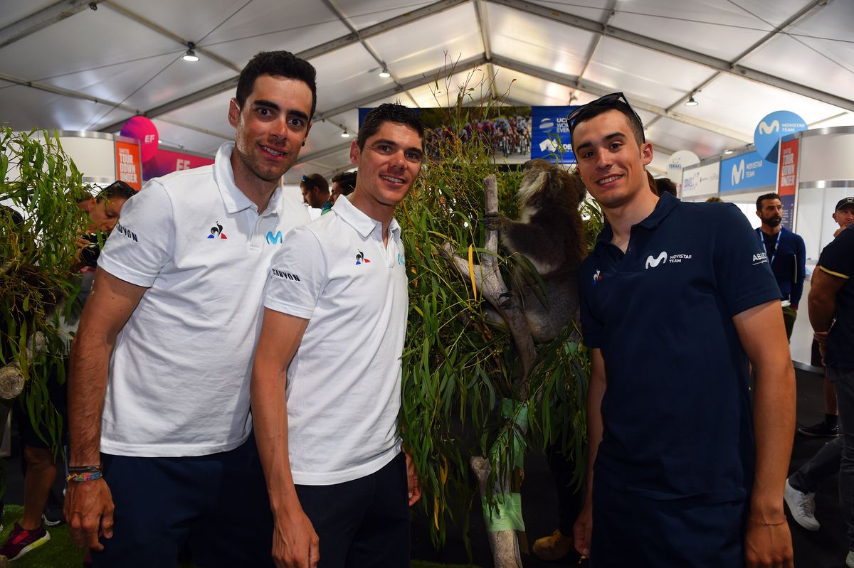 The Movistar riders with a koala