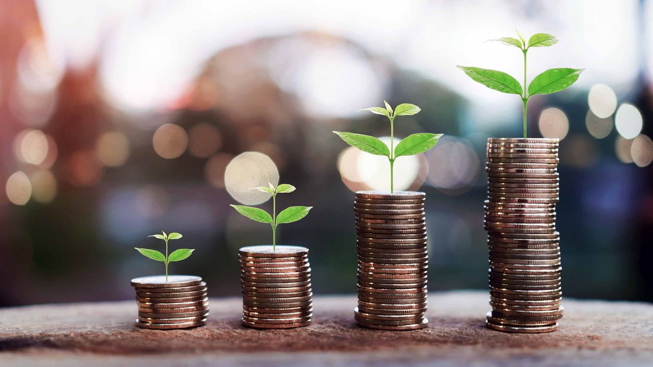 stacks of coins with plants on top