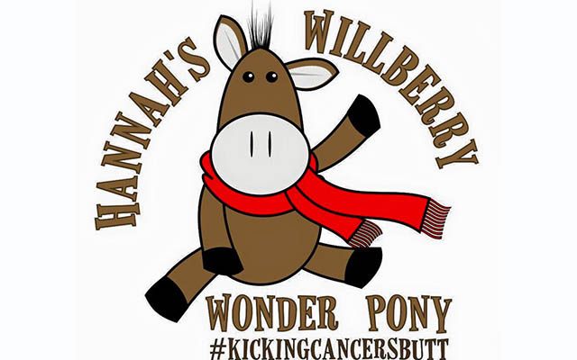 Willberry Wonder Pony