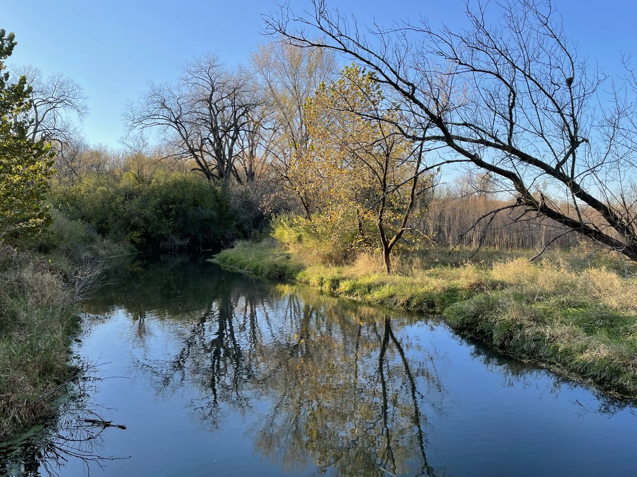 iPhone 12 camera sample