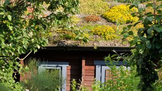 green roof design with planting