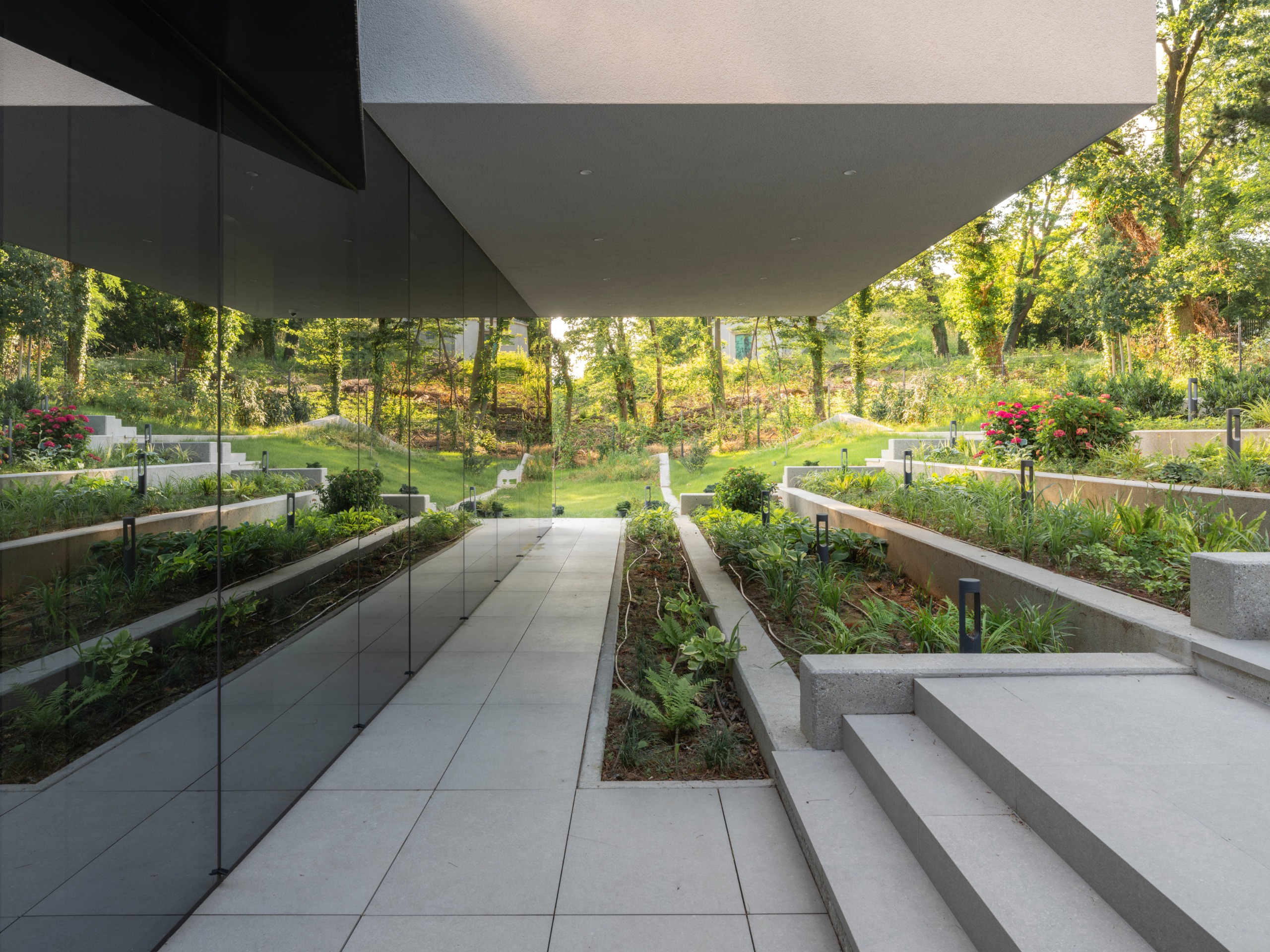 On one side the terrace faces the new planting