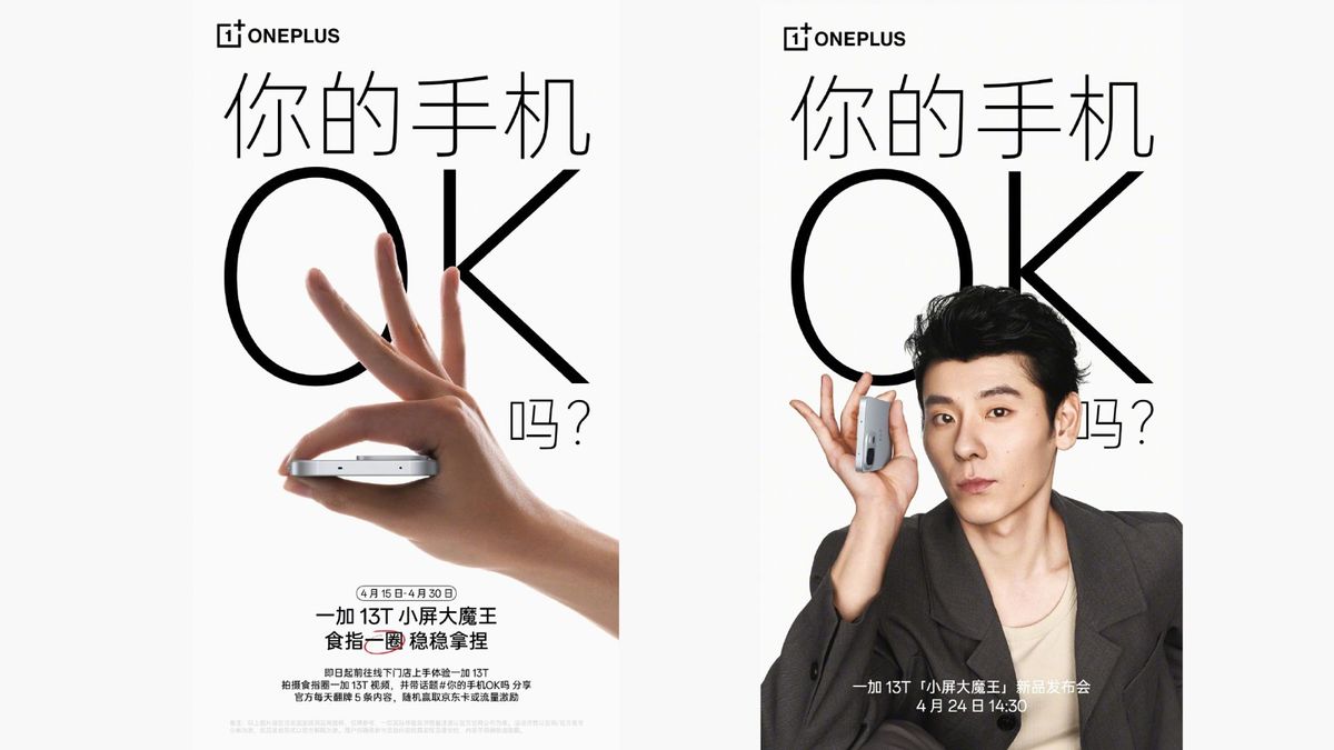 OnePlus 13T