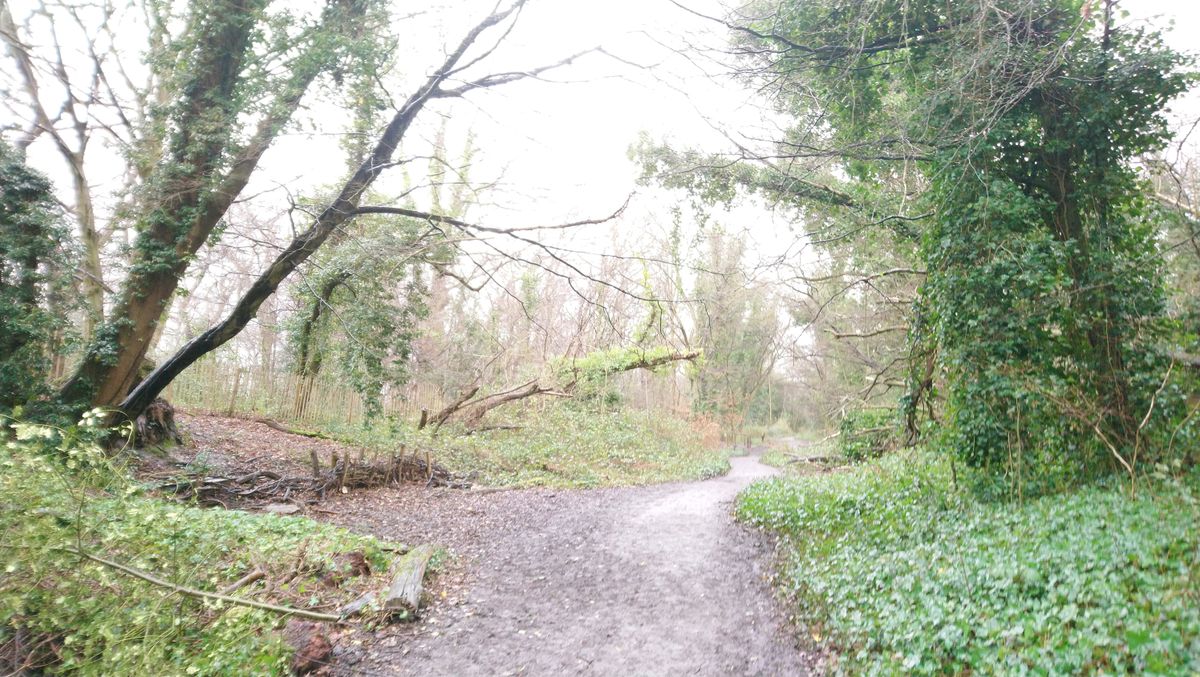 Here&rsquo;s an example of the spot metering in action: focus on the foreground and you end up with a wildly overexposed image.