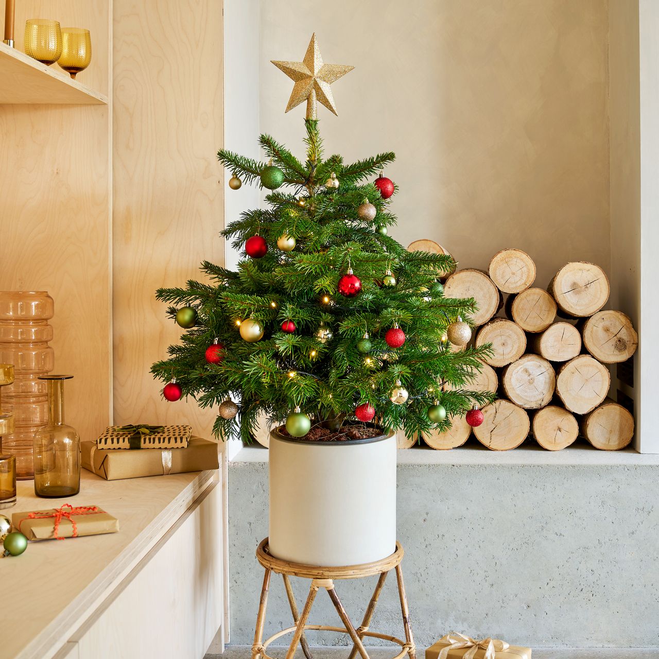 Lemonade for Christmas tree hack that will help your fir thrive Ideal Home
