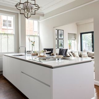 white contemporary kitchen
