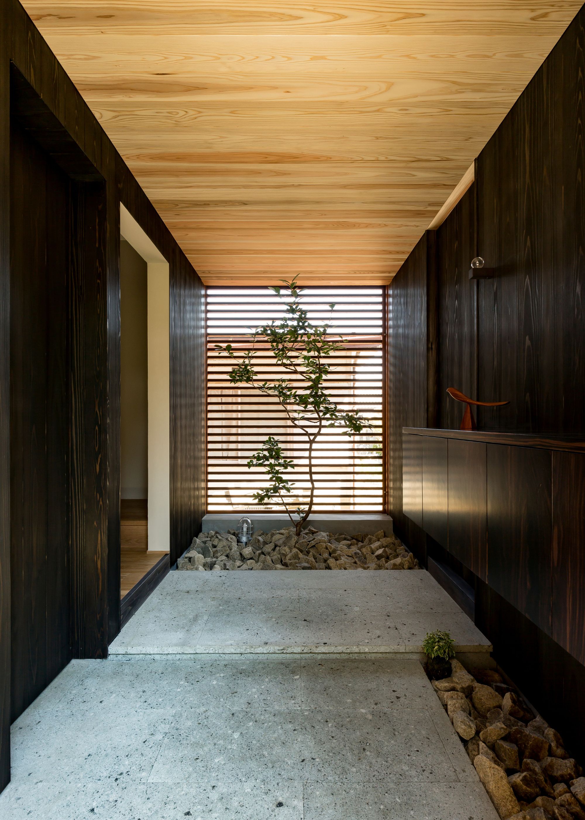 A Japanese internal courtyard with large format concrete slabs and stones that lead to an indoor tree, with walls painted in a dark brown that contrasts against the unpainted wood ceiling
