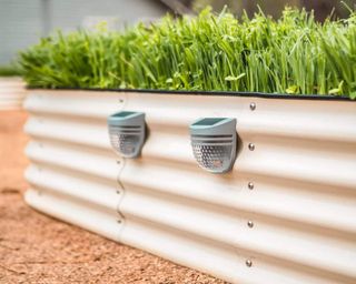 Dappled solar garden lights attached to raised bed