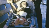 a chimpanzee dressed in a white jumpsuit and strapped into a metal seat is seen on the deck of a Navy ship