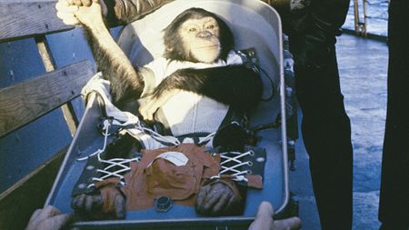 a chimpanzee dressed in a white jumpsuit and strapped into a metal seat is seen on the deck of a Navy ship