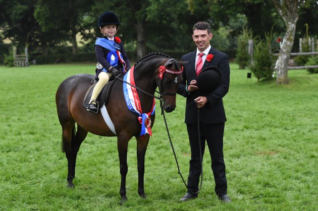Bay mini show pony mare Seamoor Lady Derby stands for a photo having won the RIHS mini championship judged in 2025 by Sharron Kivlochlan
