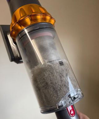 Dyson V15 Detect dustbin full of dust and pet hair in Bristol Animal Rescue Centre