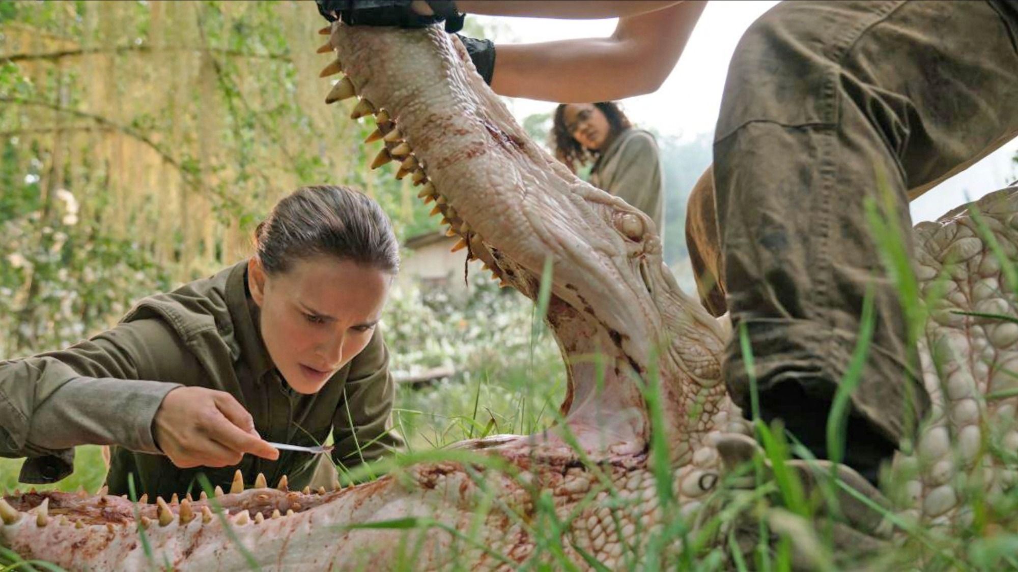 Natalie Portman stars in 'Annihilation' (2018)