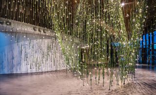 Flower power: Rebecca Louise Law lends her green-fingered talents to Now Gallery