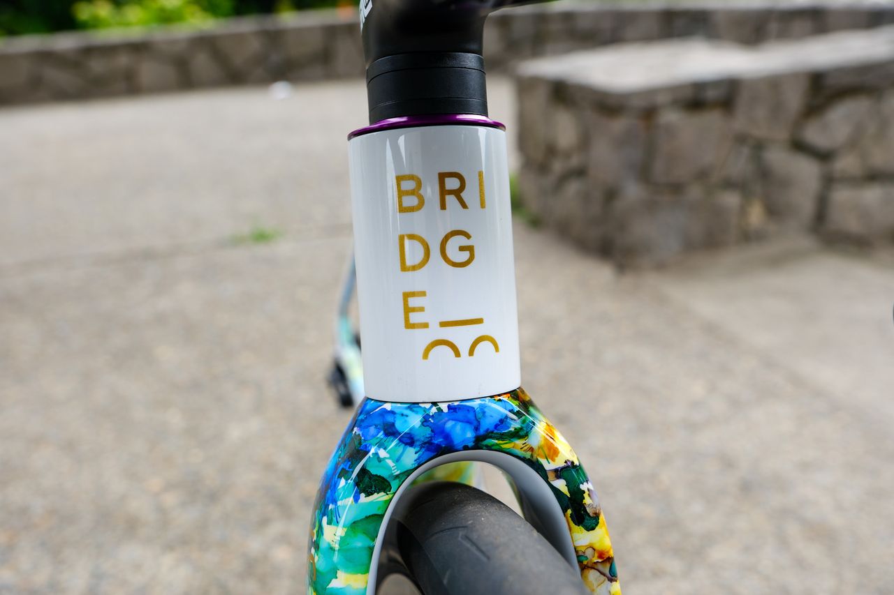 Bride Bike Works Surveyor