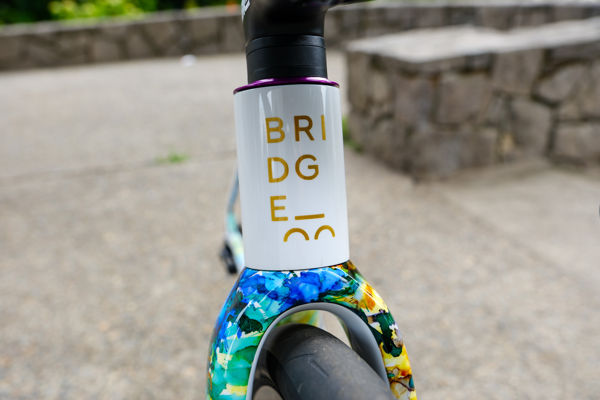 Bride Bike Works Surveyor