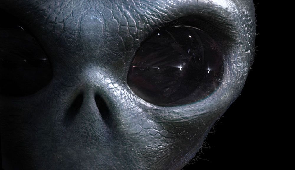 Close-up of a &#039;small gray&#039; alien&#039;s face in an illustration.