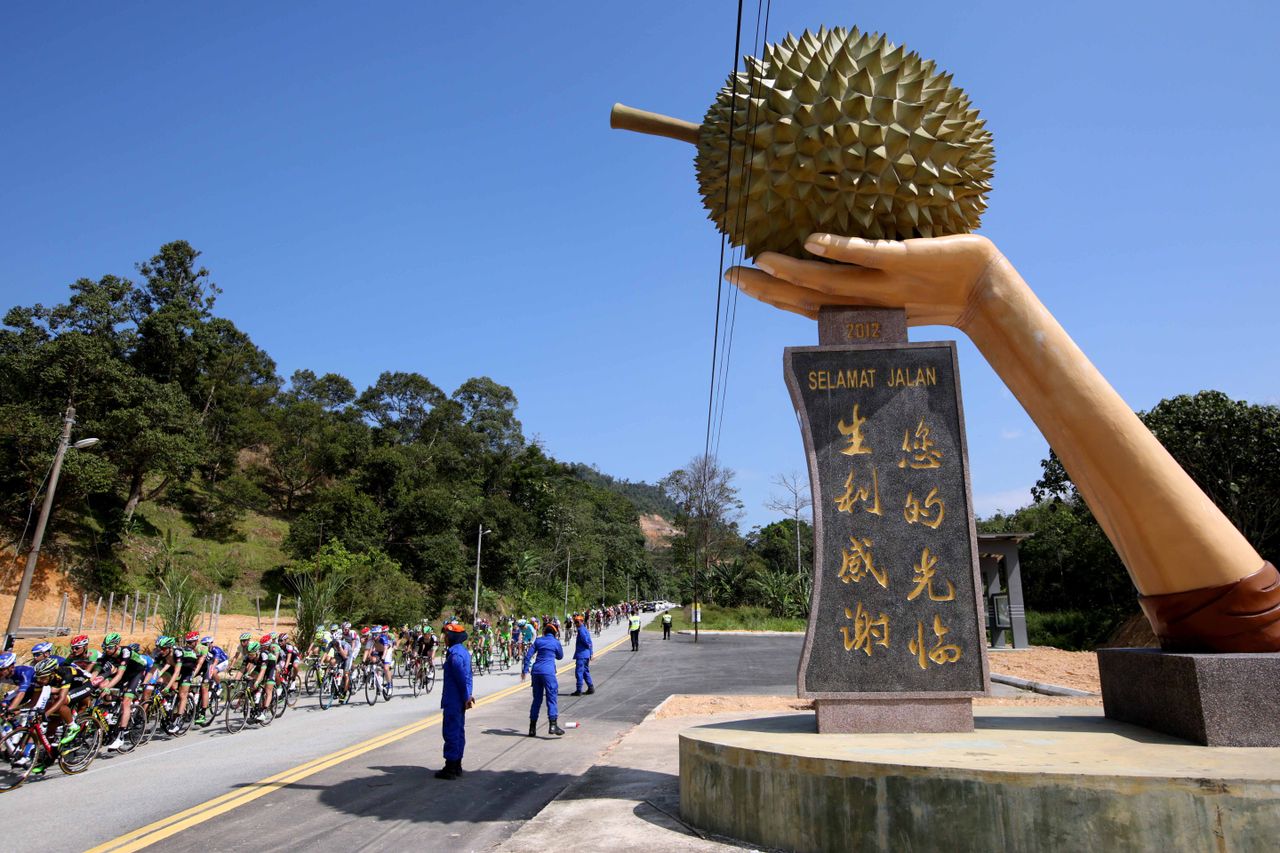 The peloton flanked byb an interesting sculpture on the side of the road