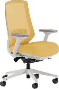 Branch Ergonomic Chair Pro
