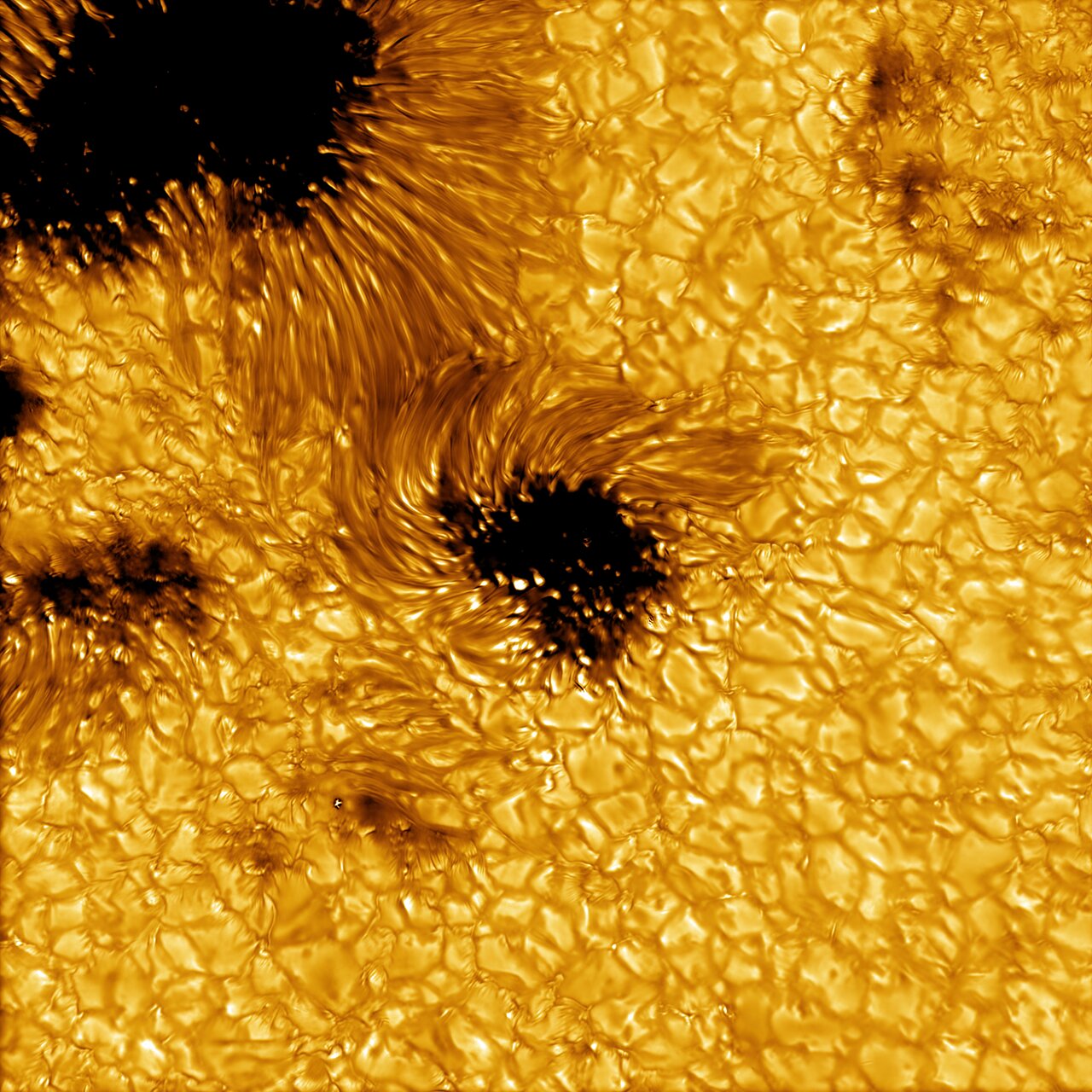 blobs of gold with dark spots throughout the image