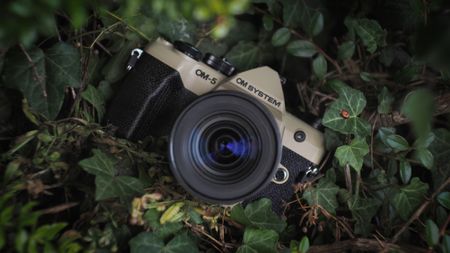 OM System OM-5 Mark II, with the Olympus M.Zuiko 12-45mm f/4 Pro lens, outdoors in woodland