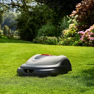 smart robot cleaner robot mower in a garden on a large lawn