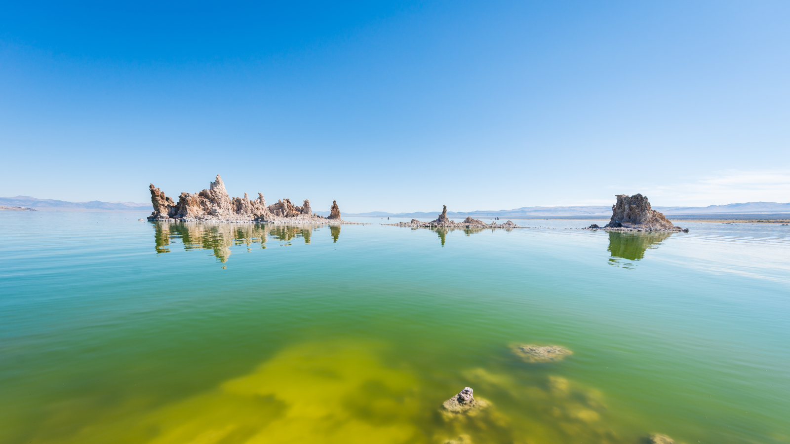 A photo of Mono Lake taken from the lakeshore showing its algae rich green water