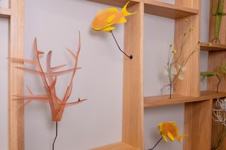 Nature models on wooden shelf