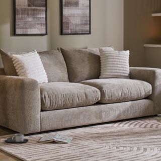 A beige sofa with a matching textured rug in a beige-painted living room