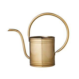 1L Accented Metal Watering Can Brass Finish - Hearth & Hand™ with Magnolia