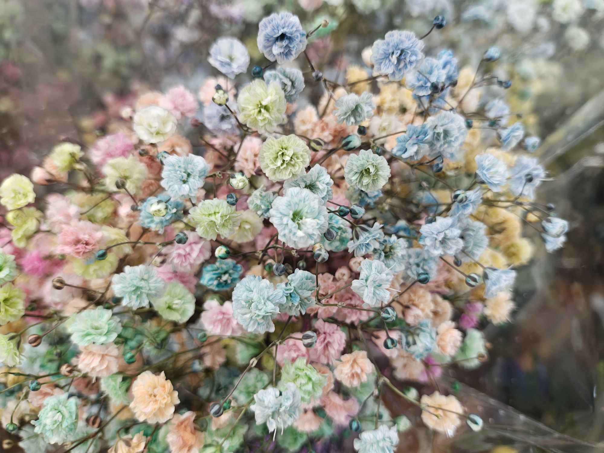 Motorola Razr Plus (2025) camera sample.