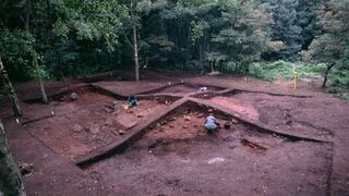 A Viking burial mound at Heath Wood being excavated. Here we see an archaeological dig in the dirt surrounded by a forest.