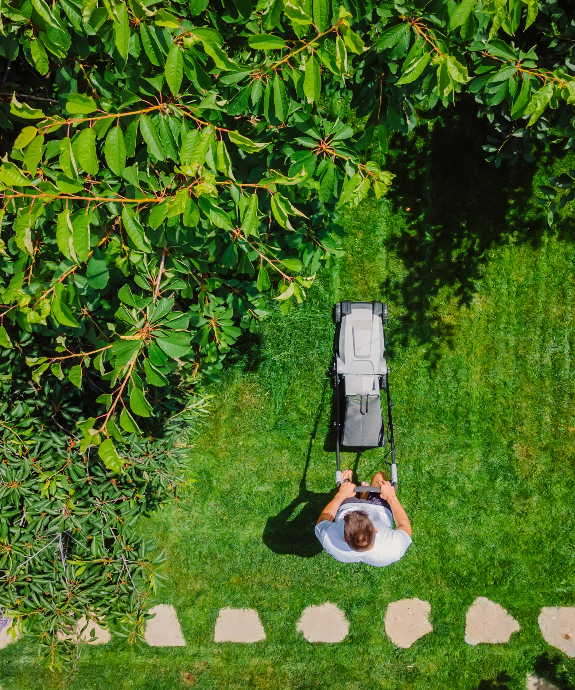 aerial view of person mowing a lawn with a lawn mower in a garden