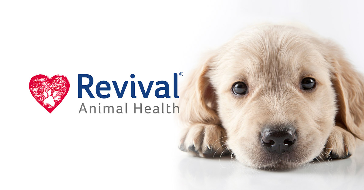 Revival Animal Health logo with a golden retriever puppy lying next to it.