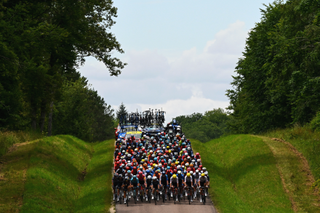 The peloton on stage 9 of the Tour de France