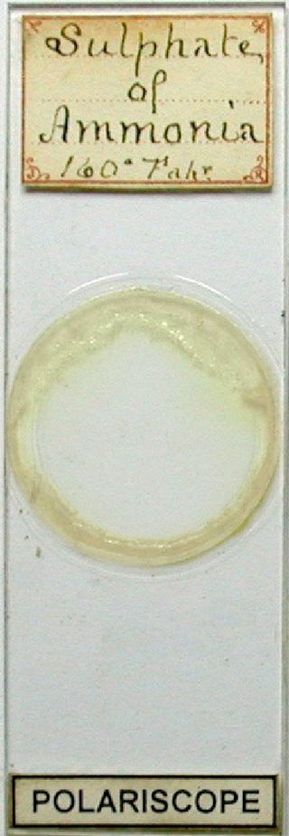 Victorian microscope slide of chemical crystals through polarizing filters. Microscopes were a popular form of entertainment for science-obsessed people living in Victorian-era Britain.