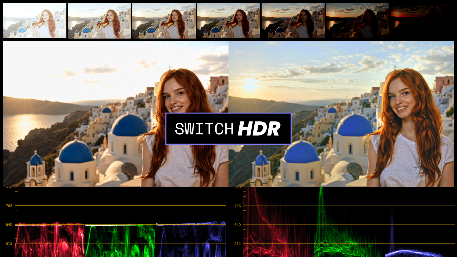 SwitchHDR