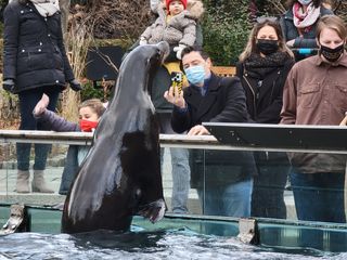 Samsung Galaxy S21 Ultra camera roll