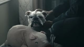 Terror being pet in Season 2 of The Boys