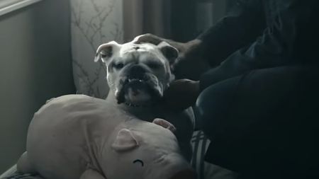 Terror being pet in Season 2 of The Boys