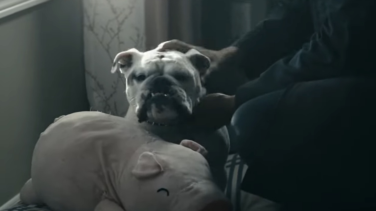 Terror being pet in Season 2 of The Boys