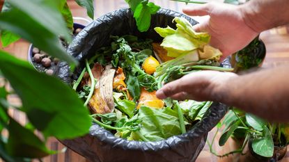 Hands dropping food scraps into a compost bin