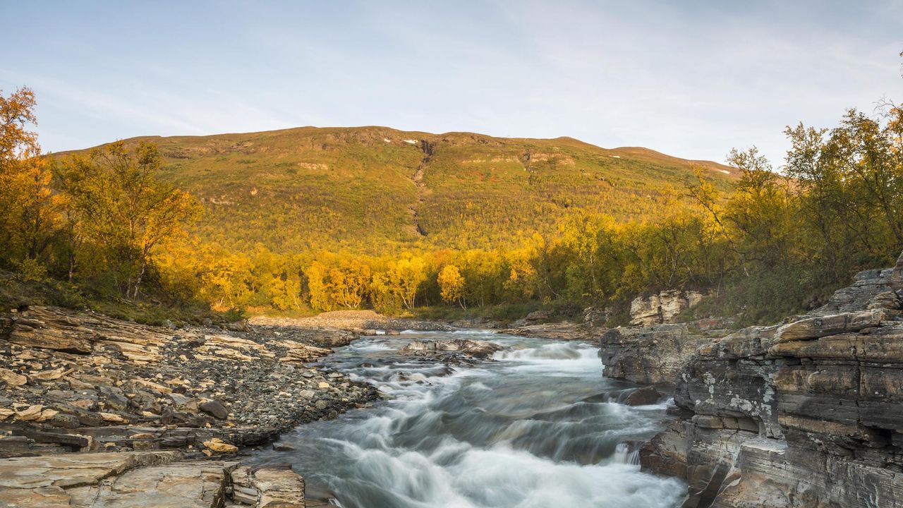 sweden airbnb